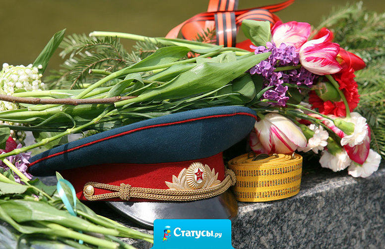 За ваше мужество в бою, за вашу боль, за ваши раны, за жизнь счастливую мою – земной поклон вам, ветераны!