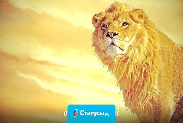 Прежде чем жаловаться на еду, подумай о тех ,кому нечего есть. Прежде чем жаловаться на своих детей, подумай о тех, кто мечтает о них но не может их иметь. Прежде чем жаловаться на жизнь, подумай о тех кто слишком рано ушел из нее!