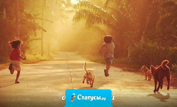 Танцуй, словно тебя никто не видит, пой, словно тебя никто не слышит, люби, словно тебе не причиняли боль, и живи, словно рай уже на Земле.