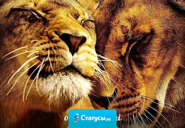 Никогда не обижайтесь на жизнь, ведь никто не обещал вам, что она будет другой.