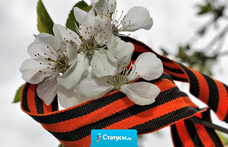 8 мая это день моего рождения, а без 9 мая меня бы не было.