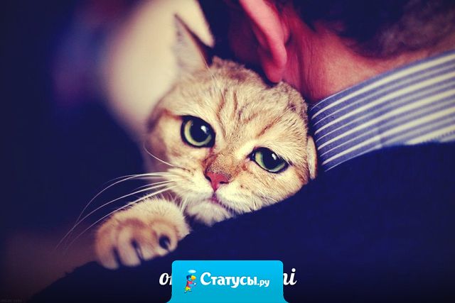 Прощают только тех, кого любят. С остальными прощаются..