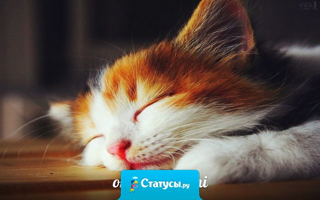 Когда человеку лежать на одном боку неудобно, он переворачивается на другой, а когда ему жить неудобно — он только жалуется. А ты сделай усилие — перевернись.