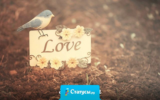 Мы ценим статус, ценим вес, рост, возраст ценим, глаз разрез. Мы редко ценим блеск в глазах, улыбку, радость на устах. Мы в людях ценим красоту, хотя порой совсем не ту.