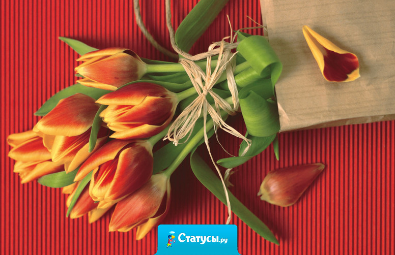 С наступающим 8 марта, крошки! Счастья всем и радости и поменьше тяжких моментов в жизни! От всего сердца.