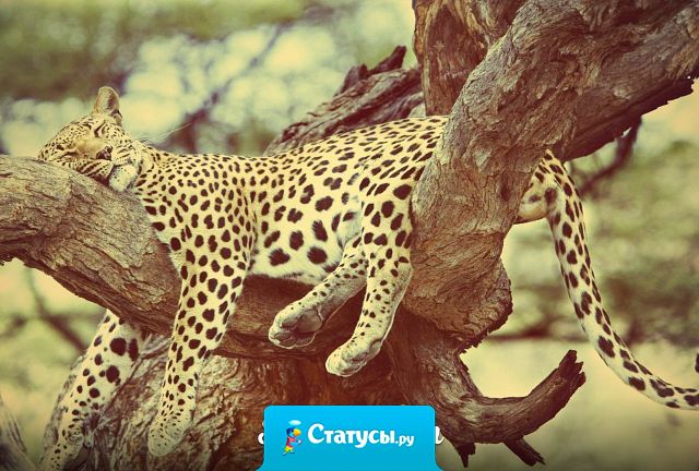 В жизни главное не лениться, захотелf поспать - поспи...