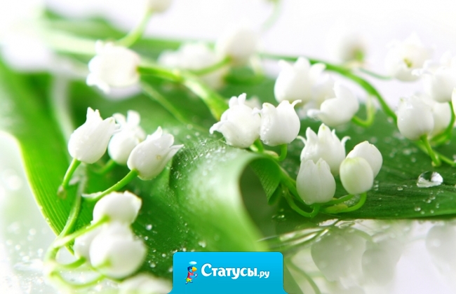 Поздравляю с первым мая. С майским праздником весны. И тебе я пожелаю, Мира, радостей, любви.