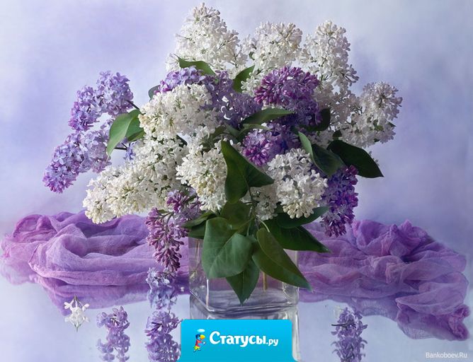 Поздравляю с 1 мая, с майским праздником весны. Я добра вам всем желаю, мира, счастья и любви.