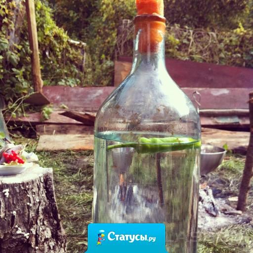 Скоро майские праздники, и печень что-то начинает ныть.