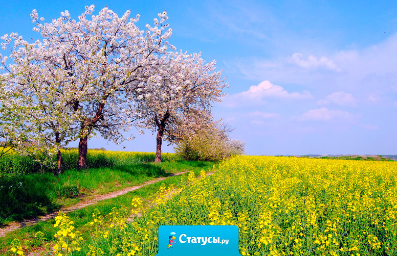 От души вас поздравляем с молодым звенящим маем!