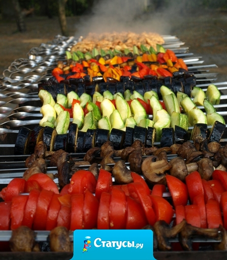 Сегодня 1 мая? Чего ждем – все на природу, есть шашлыки.