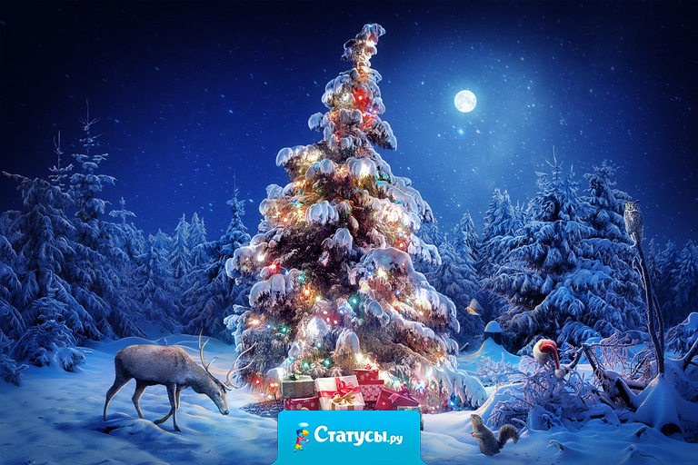 Новый год – это праздник, когда твое чувство прекрасного обостряется до такой степени, что начинают происходить чудеса.