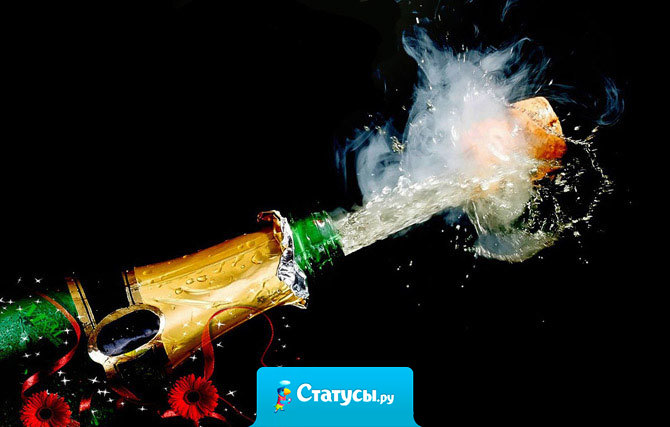 Новый год – это когда все жители страны, захлебываясь потоками шампанского и водки, выпадает в тазики с салатом Оливье.