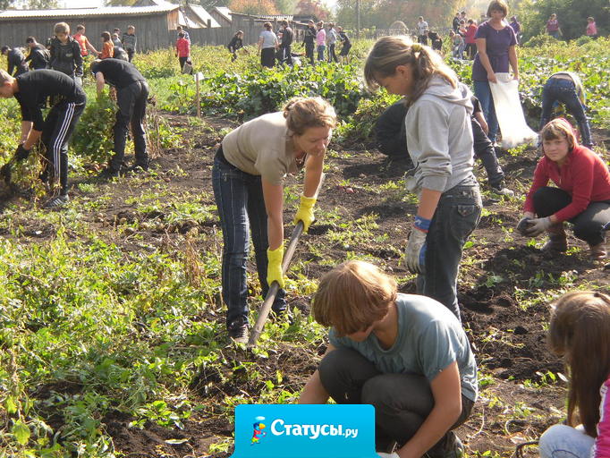 Первомая ждет народ, чтоб вскопать свой огород.