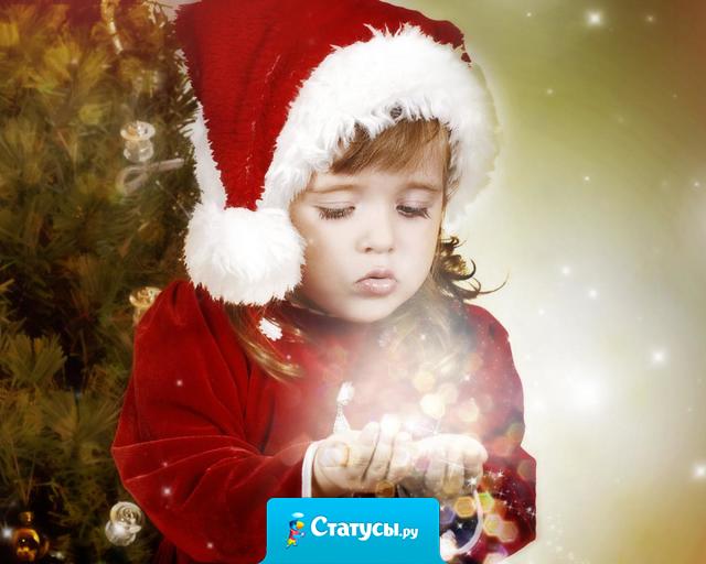 Совсем скоро наступит самая волшебная ночь в году… а чудо все равно не произойдет.