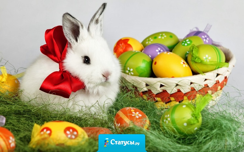 Солнце светит высоко. Лето уже недалеко. С праздником. Христос Воскрес. Тепла, любви и радостных чудес.