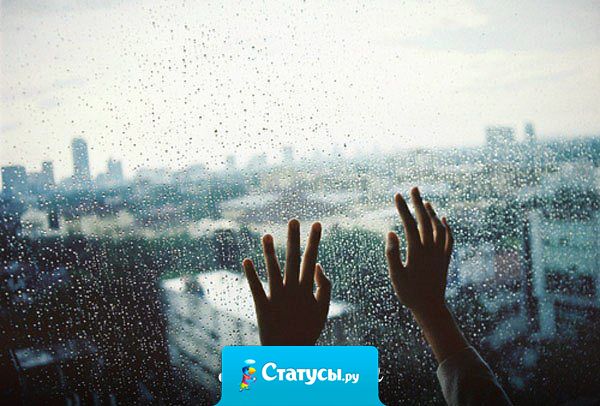 Погода за окном так и шепчет: сиди в одноклассниках...