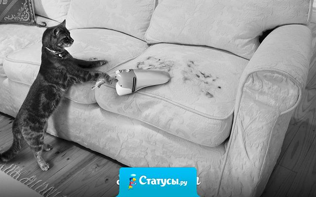 Это так по-нашему: потратить кучу времени на уборку дома перед приходом гостей, чтобы после их ухода убирать стало еще больше...