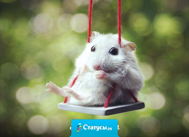 Очень многие люди всю неделю ждут пятницу, весь месяц праздника, весь год лета, и всю жизнь счастья. А нужно радоваться каждому дню и наслаждаться каждым мгновением.