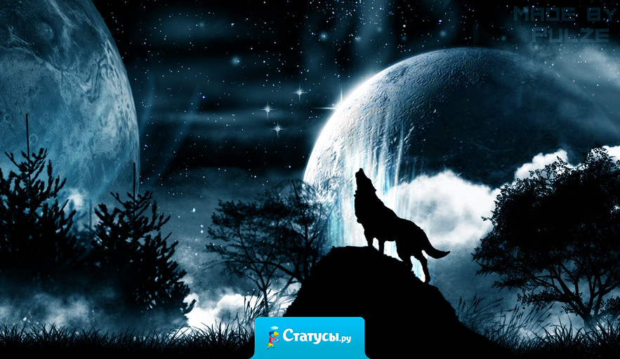 Мой волчий вой, мои загадки. Иду прям в бой при виде схватки. Для вас загадка волка вой, лишь волки воют на убой.