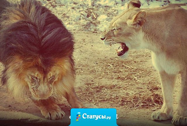 Лучше уйти-по английски, чем ждать когда вас пошлют по-русски.