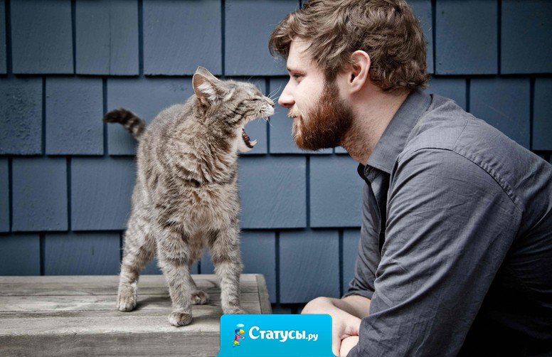 Только мужчины и коты с рождения, на генетическом уровне обладают умением с жутко деловым видом лежать на диване!