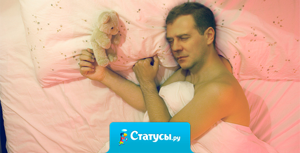 Россия! Непонятная для иноземца страна. Зима, морозы, медведи. И даже у этих медведей есть свой президент.