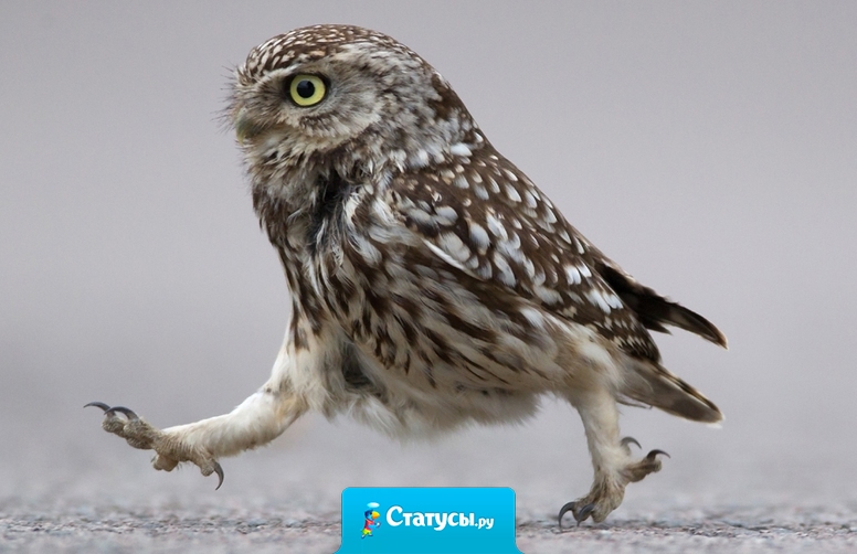 Хотеть недостаточно, надо действовать.