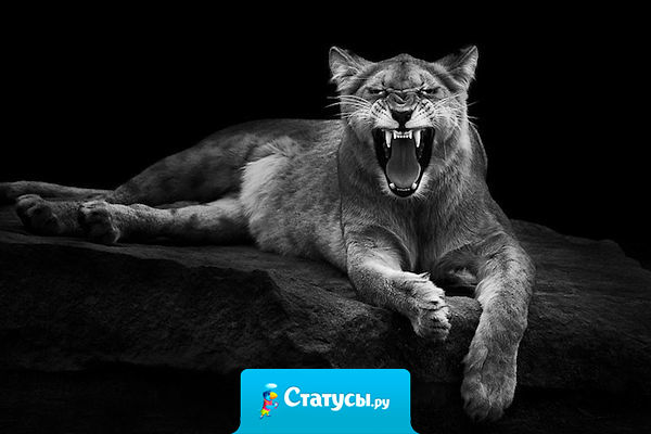 Если вы имеете совесть, то вас имеют те, кто ее не имеет.