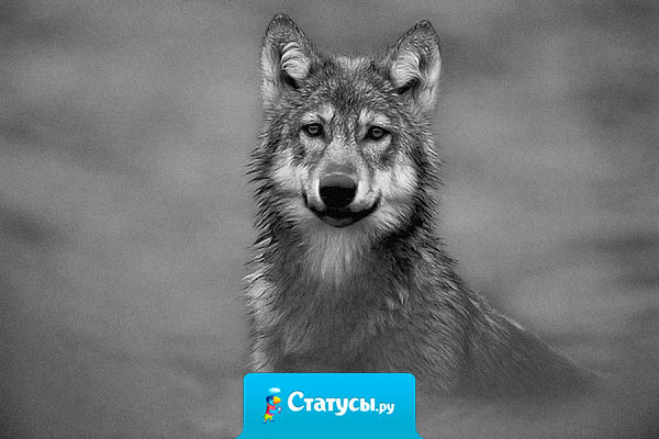 Не важно каким ты был раньше - важно какой ты сейчас!