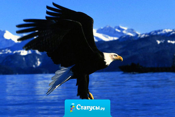 Лучше иногда падать, чем никогда не летать.