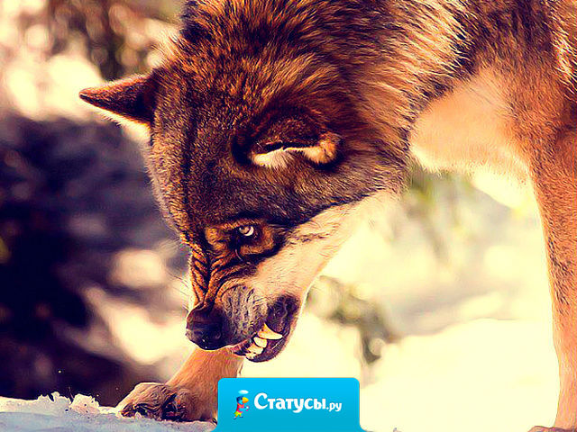 Гони друзей, что предали однажды, кто предал раз, предаст тебя и дважды; и не ищи любви, где нет ответа — в любви есть двое… Нет других сюжетов!