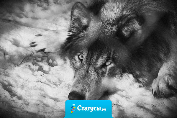 Чтобы обеспечить себе старость, надо… угробить молодость!