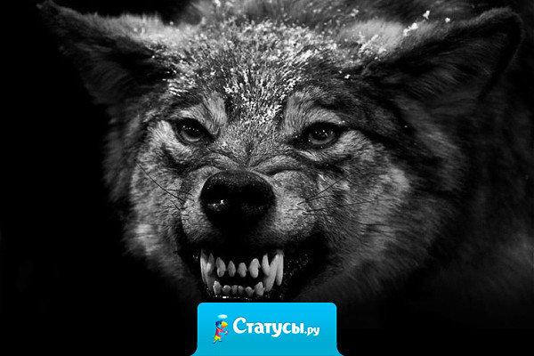 Выходя из себя, закрывайте за собой рот.