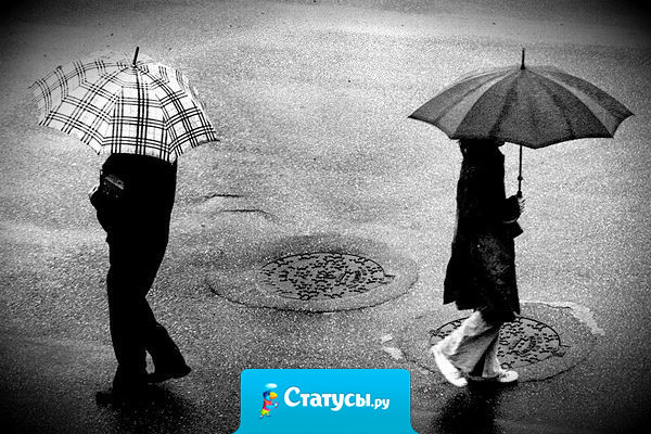 Две параллельные прямые… Не сблизиться, не разойтись.  Потери, в общем, небольшие. Лишь не сложившаяся жизнь.