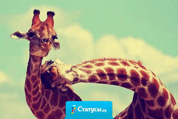 Все люди от рождения добрые. Злыми их делают другие добрые люди.