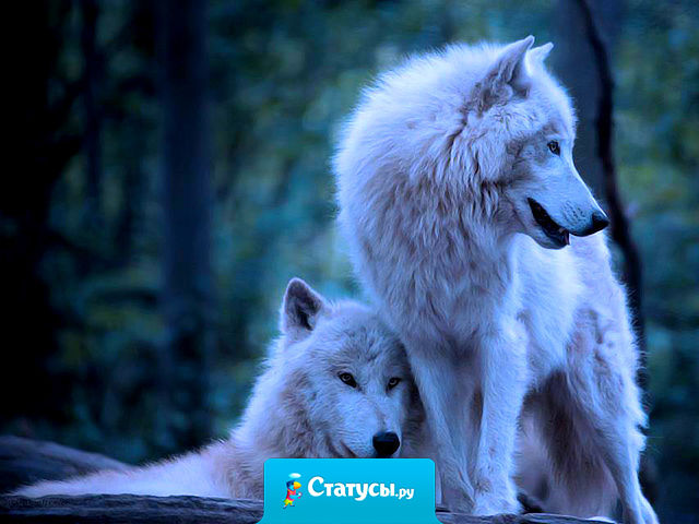 Надеяться можно на что угодно, но рассчитывать — только на себя.