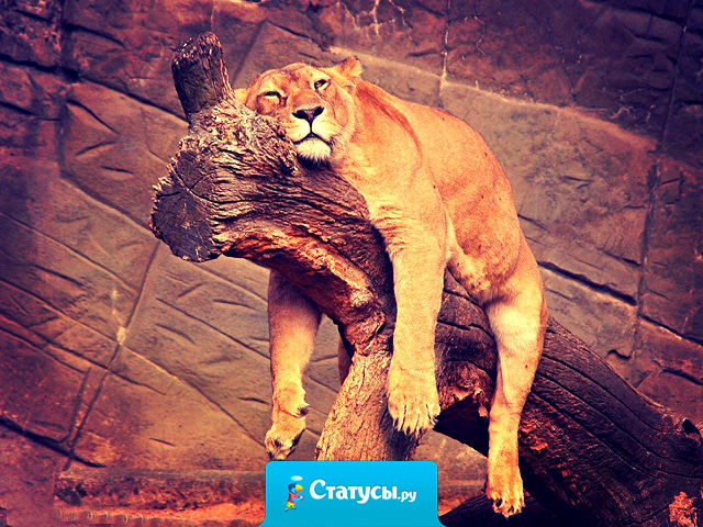 Понял одну простую истину: если на работе заниматься работой, то рабочий день проходит значительно быстрее. Надо будет как-нибудь еще раз попробовать…