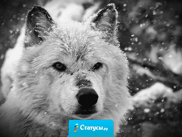 Согласитесь, порой именно гордость мешает нам быть счастливыми.