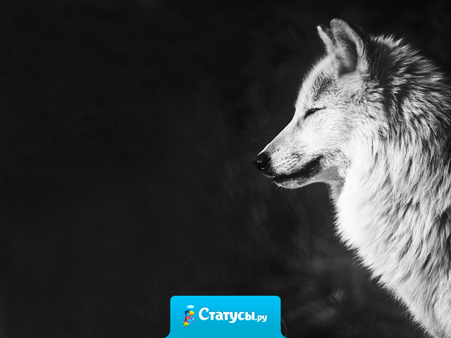 Мы глухих заставляем слушать, а немых вынуждаем орать… Мы врагам открываем душу, а родных оставляем страдать… Мы покой обретаем в драке, и суетимся, когда её нет… Мы столько видим во мраке, и ничего — когда горит свет.