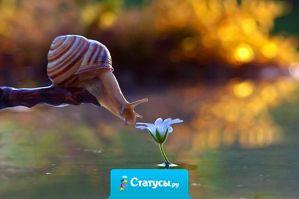 Случайностей не существует — все на этом свете либо испытание, либо наказание, либо награда, либо предвестие.…