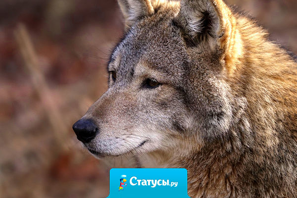 Бывает, сидишь и вспоминаешь, сколько было офигенных моментов с человеком, с которым сейчас ты даже не здороваешься.