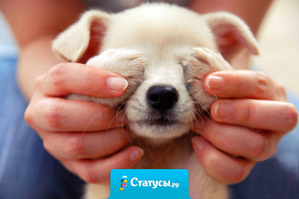 Радоваться жизни — самое правильное решение,  которое надо принимать несколько раз в день.