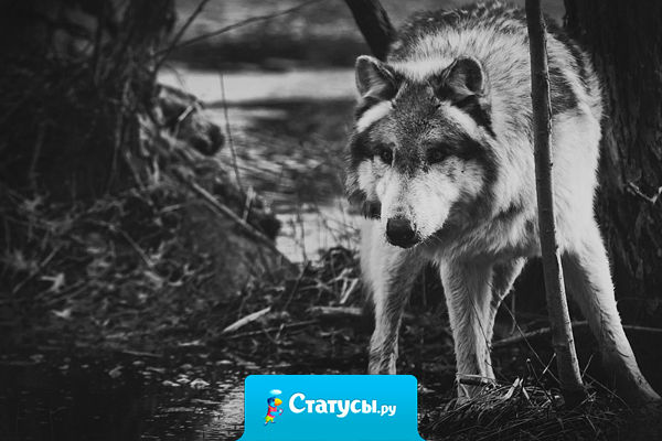 Иногда, докопавшись до истины хочется закопать её обратно.