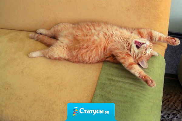 Мой девиз четыре слова: 