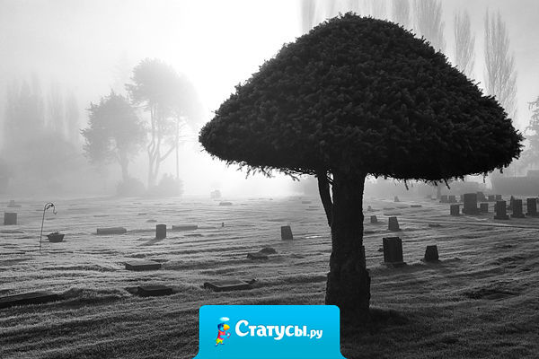 Жизнь — беспроигрышная лотерея.  В конце пути каждый получает по земельному участку…