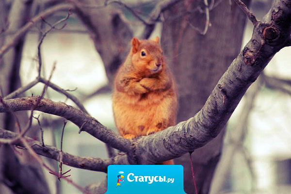 Всё без любви — грех! Посуду мыть не буду.