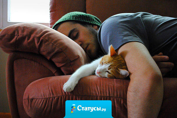 Хорошо нигде не работать! Захотел поспать — лег поспал! Жрать захотел — лег поспал! Захотел новый планшет — лег поспал!