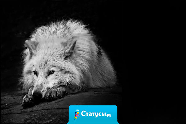 Как забыть — покажет время, как простить — покажет жизнь,  как любить — покажет кто-то, кто забыл, простил, и жил...