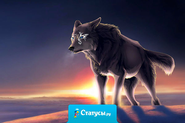 Когда мне плохо - я начинаю молчать. Мне проще, запереть боль в себе. Не причинив вреда другому. Плевать, что она медленно жрёт меня изнутри.